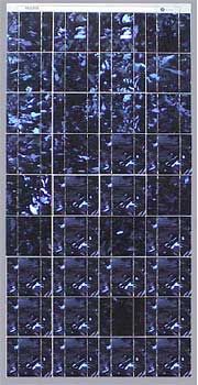 BP Solar BP375J Solar Panels