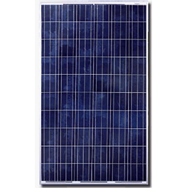 Canadian Solar CS6P-250P 250 Watt Panels
