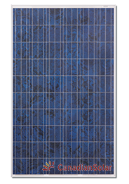 Canadian Solar CS6P-255P Solar Panel