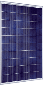 SolarWorld SW 240 Poly Solar Panel
