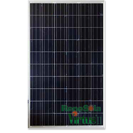 ReneSola Virtus II JC255M-24/Bb Solar Panel
