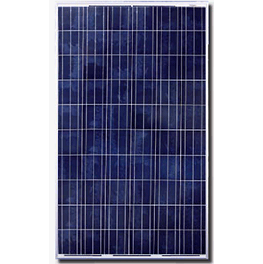 agmdページ　XLサイズ Canadian Solar CS6P-250P 250 Watt Solar Panel [DISCONTINUED]
