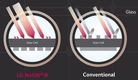 NeON R solar panel cell structure