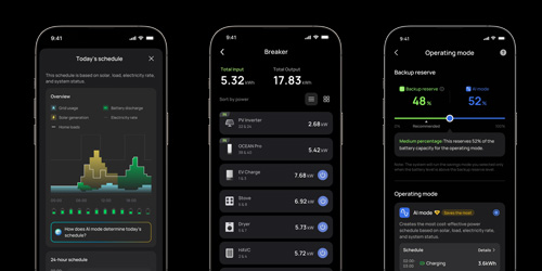 EcoFlow mobile app showing real-time energy system monitoring