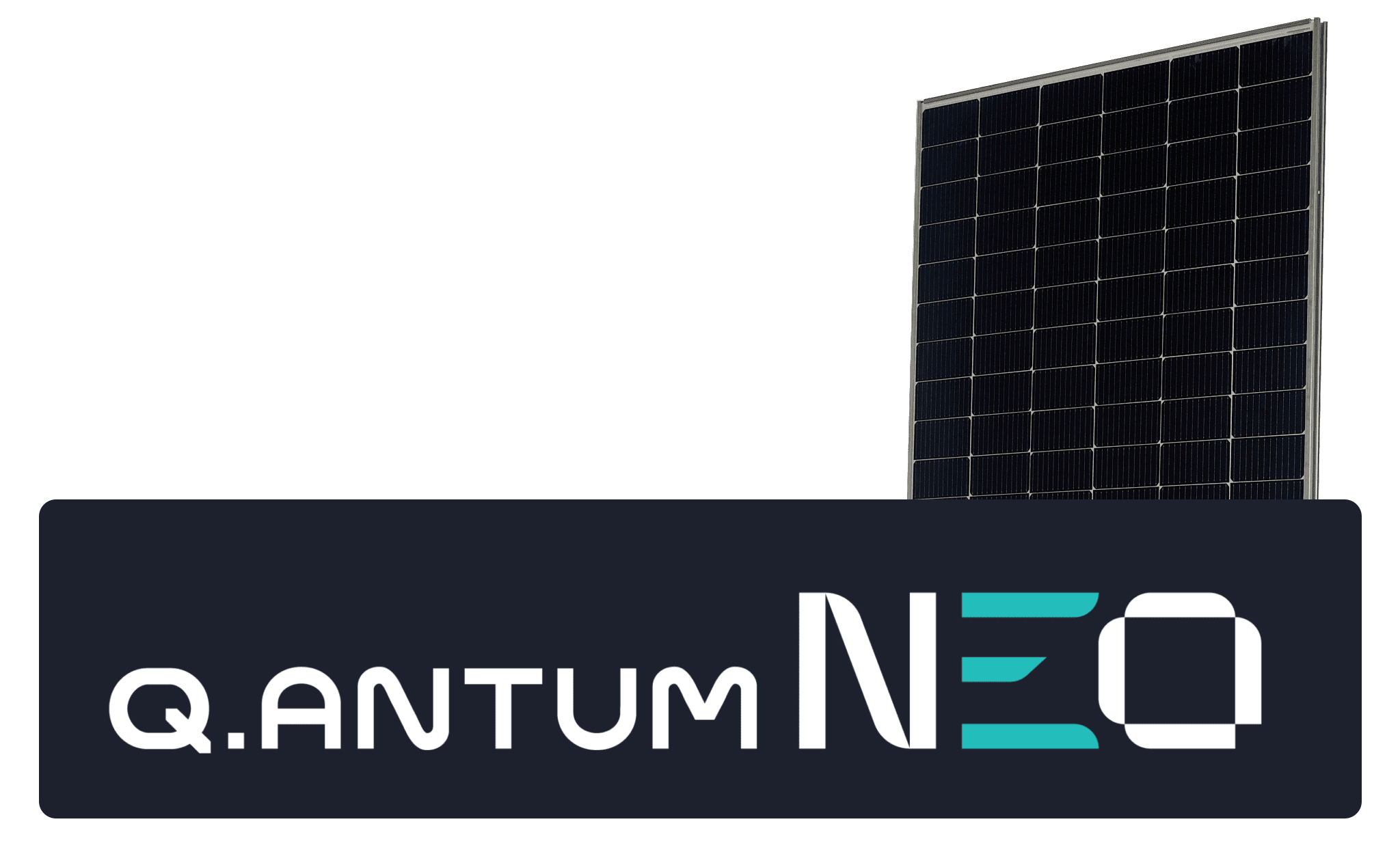 QCELLS Q.ANTUM NEO Technology